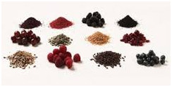 Vigrx plus Herbs and aphrodisiacs
